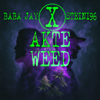 Akte Weed vereint Deutsch & Englisch, Straßensound & Haltung – BabaJay & Steini96 liefern ihre erste Kollabo, produziert bei Strelle Records.